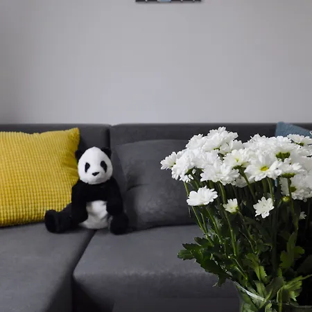 Apartment Panda Grzybowska-centrum