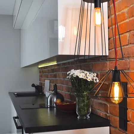 Panda Grzybowska-centrum Apartment Warsaw